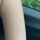 팔마장 이미지