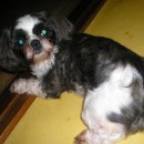 홈마트앞 버스정류장 이미지