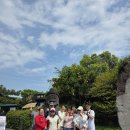 상다리기사식당 | 제주도 단체여행 쏠라티 기사포함 렌트카로 안전하게 베테랑 기사님과 함께