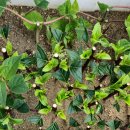 달림농장 이미지