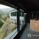 wellness 이미지