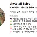 피토테일