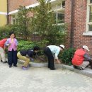 동평초등 이미지