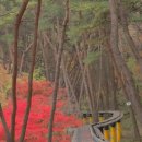 세종파크목욕탕 이미지