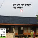 온양칼라 이미지