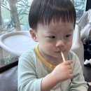 [+392day🫰] 돌치레인가?! 1주일을 아팠던 그남자 | 달빛어린이병원 만세 | 놀이방있는 샤브샤브집