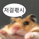 [후기] 2025 한화이글스 유니폼 오프라인 매장후기 - 스파이더 롯데백화점 대전점