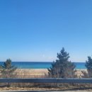 삼남매목장 2 이미지