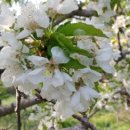 하금농장 이미지