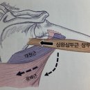 아유짐 이미지