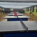 탁구 | 천안 두정동 탁구장 추천｜조상현탁구클럽 레슨비·구장이용료 솔직후기