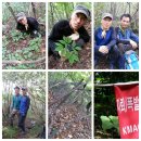 소백산약초
