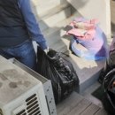 영원 세탁 이미지