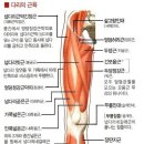 브로쥬아 - 중랑구 면목로92길 33-5 | 브로쥬아
