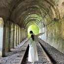 문경 | 문경 당일치기 여행후기+개미취꽃구경💜