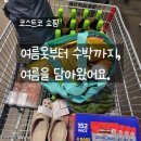 코스트코 쇼핑 리얼 후기 🍉 패밀리룩, 와인, 수박까지 싹-줍줍