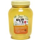 소백산에서 이미지