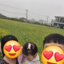 딸기방 | 하늘키즈 가족펜션 딸기방 후기