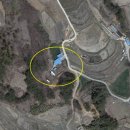 임실사슴농장 이미지