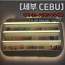 [세부 CEBU]미미네일 샹스 몰(MIMI NAIL),꾼 치킨 후기 제이파크 근처 샹스 몰 위치