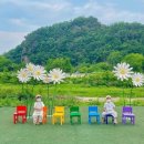 플라워캠핑장 이미지