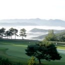 블루버드 이미지