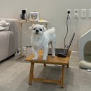 범어애견 | [대구 범어동] 명덕빵앗간 범어점 | 대구 빵집순례 | 수성구 빵집 추천 | 애견동반 카페 | 범어동 카페...