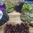 뒤뜰농장 이미지