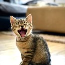 계양메디칼센터 이미지