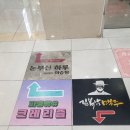 아라환경 | 아이와 가기 좋은 검단 파충류샵, 크레리즘 인천 검단아라점 후기