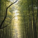 마음 힐링을 위한 수채화 | 가을 감성 가득한 전라도 2박 3일 힐링 로드 — 깊어지는 계절, 나를 위한 여행 기록