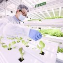 상인3동행정복지센터 이미지