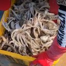 선주네 생선팜 이미지