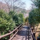 벚꽃길주유소 이미지