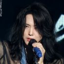 술레잡기 Daum카페