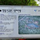 정발산 도당굿 | 일산 정발산 - 신도시에 살아있는 자연과 전통문화, 맛과 멋