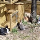 힘차게농장 이미지