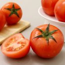 토마토 이미지