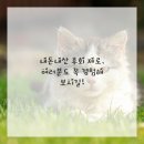 란치과의원 이미지