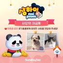 봄사랑 동물병원 이미지