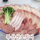 부산산오징어 | 김해 대방어 맛집 삼계동에 위치한 부산산오징어 방문 후기