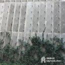 꽃숲 이미지