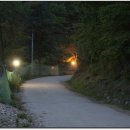 반디네허브 이미지