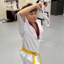 초이스 태권도장 이미지