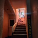 [충무로/을지로] 필름카메라 셀프 인화 가능한 고래사진관 후기