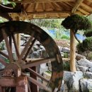 새 달성약국 이미지