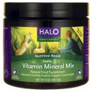 헤어볼하우스 이미지