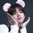 마카오박 이미지