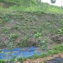 푸른솔농장2 이미지