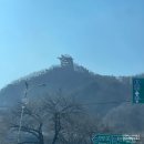 만천하스카이워크(정상) 이미지